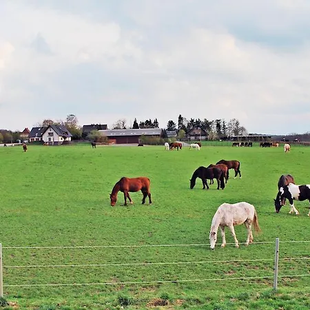 Appartement Bergblick *