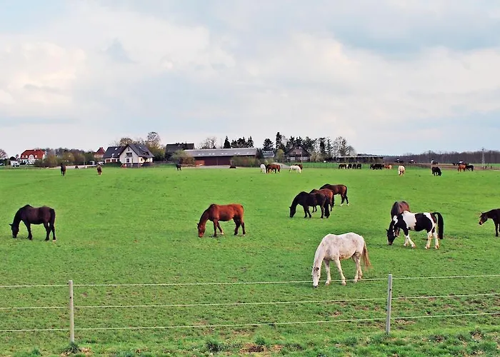 Apartamento Bergblick *